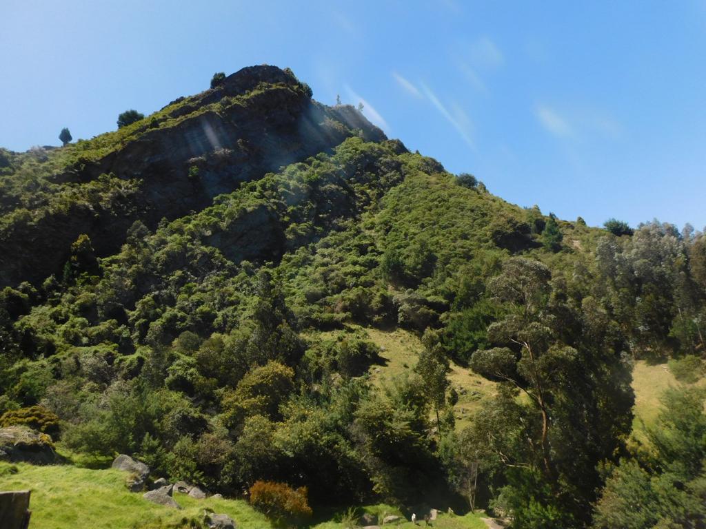Farallones